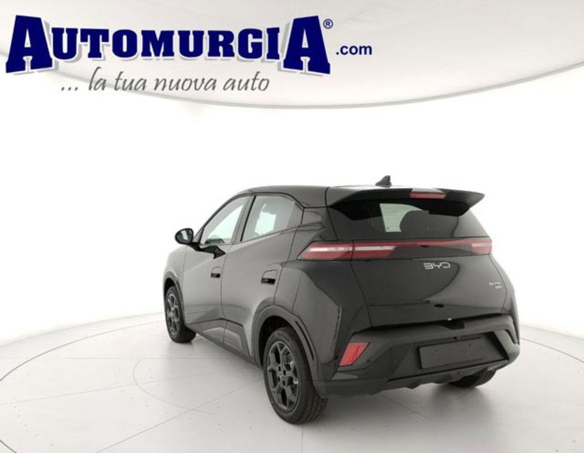 Byd Dolphin Surf 43,2 kWh Boost (3)