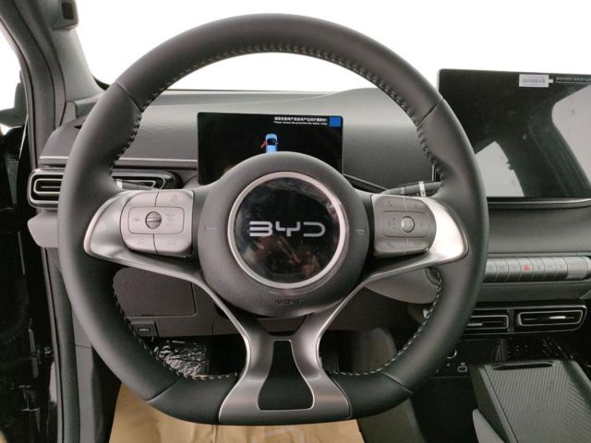 Byd Dolphin Surf 43,2 kWh Boost (9)