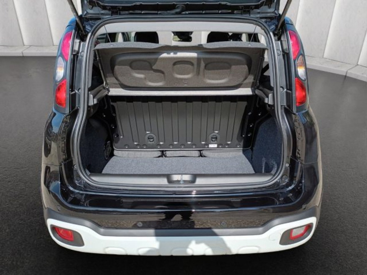 Fiat Pandina 1.0 firefly hybrid s&s 65cv (15)