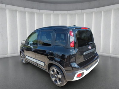 Fiat Pandina 1.0 firefly hybrid s&s 65cv (4)