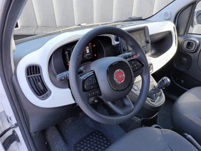 Fiat Pandina 1.0 firefly hybrid s&s 65cv (12)