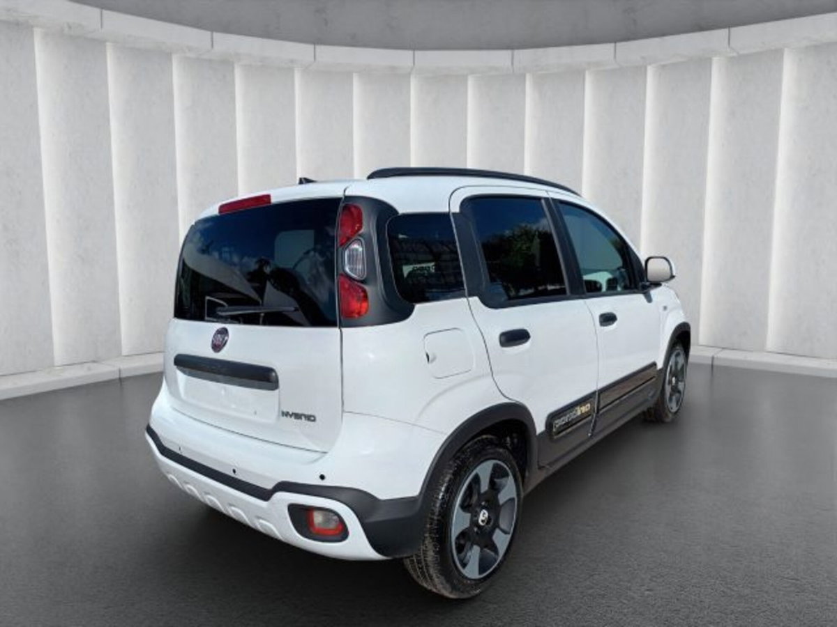 Fiat Pandina 1.0 firefly hybrid s&s 65cv (5)