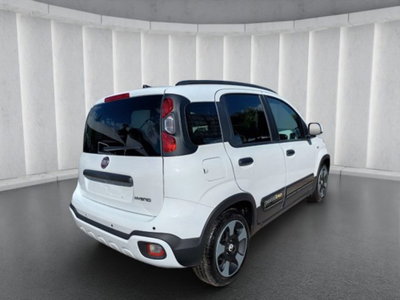 Fiat Pandina 1.0 firefly hybrid s&s 65cv (5)