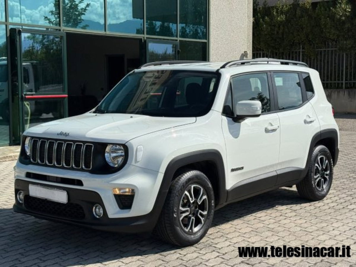 Jeep Renegade 1.0 T3 Business (2)