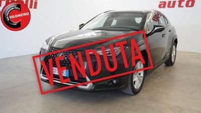Lexus UX Hybrid Business usata