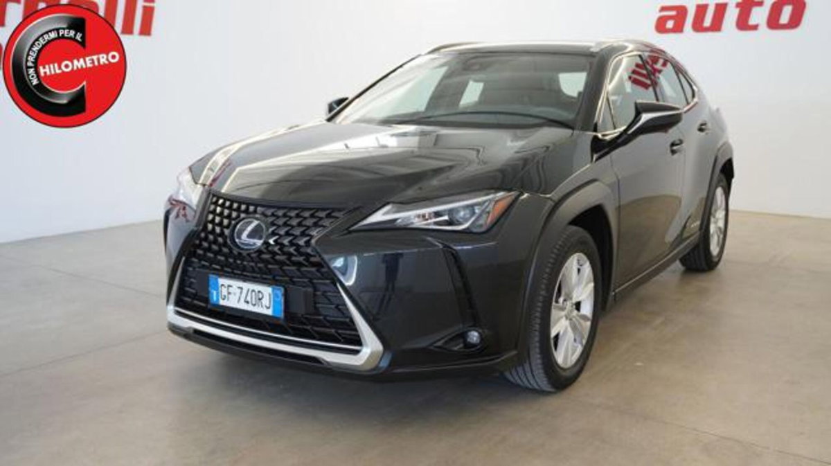Lexus UX Hybrid Business (2)