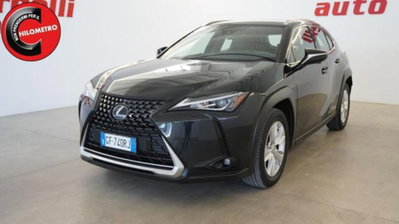 Lexus UX Hybrid Business (2)