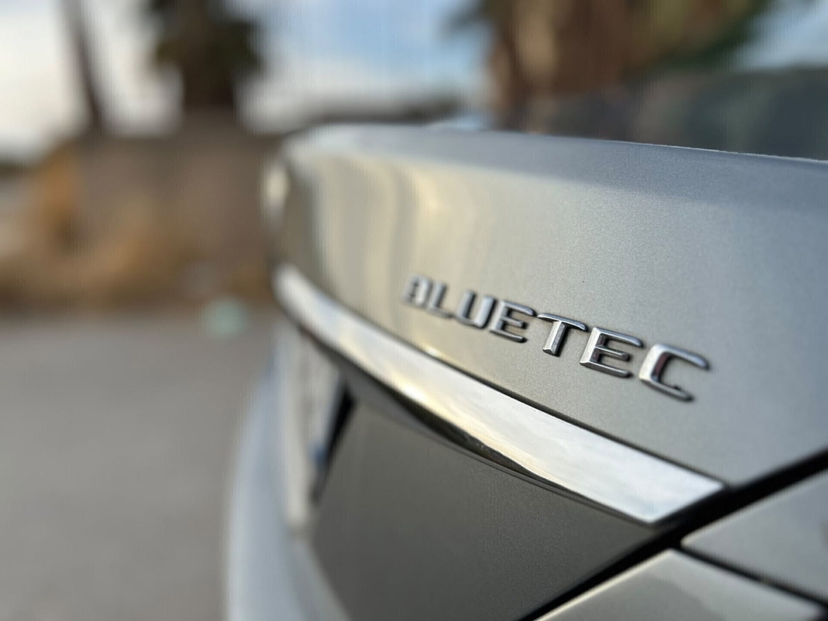 Mercedes-Benz Classe C 220 BlueTEC Executive (18)