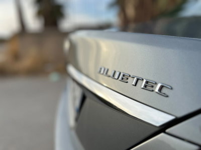 Mercedes-Benz Classe C 220 BlueTEC Executive (18)