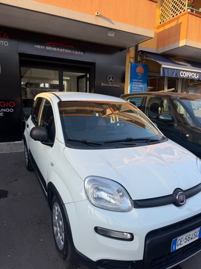 Fiat Panda Cross Cross 1.0 FireFly S&S Hybrid usata