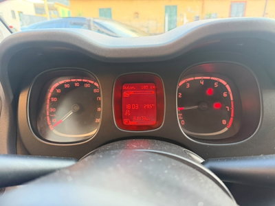 Fiat Panda Cross Cross 1.0 FireFly S&S Hybrid (6)