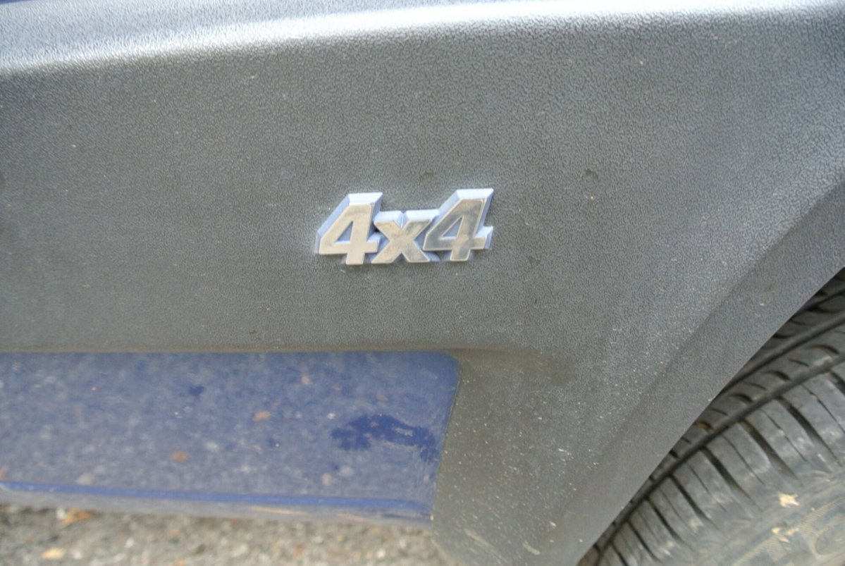 Fiat Panda 1100 i.e. cat 4x4 Trekking (19)