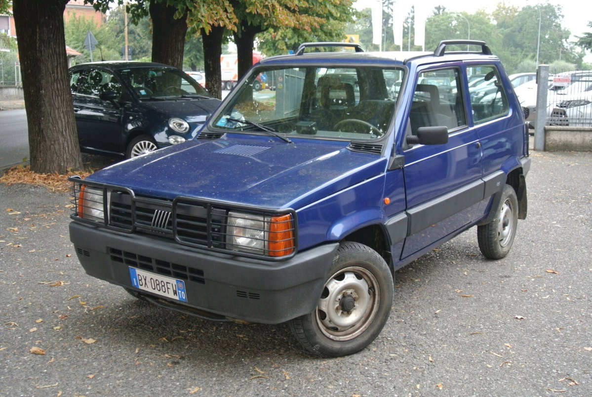 Fiat Panda 1100 i.e. cat 4x4 Trekking (3)