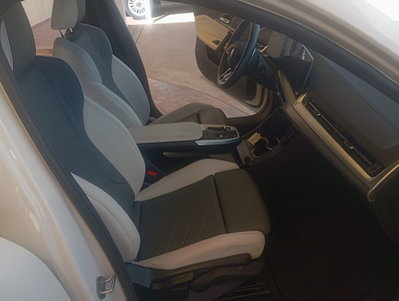 BMW X2 sdrive 18d MSport Pro auto (14)