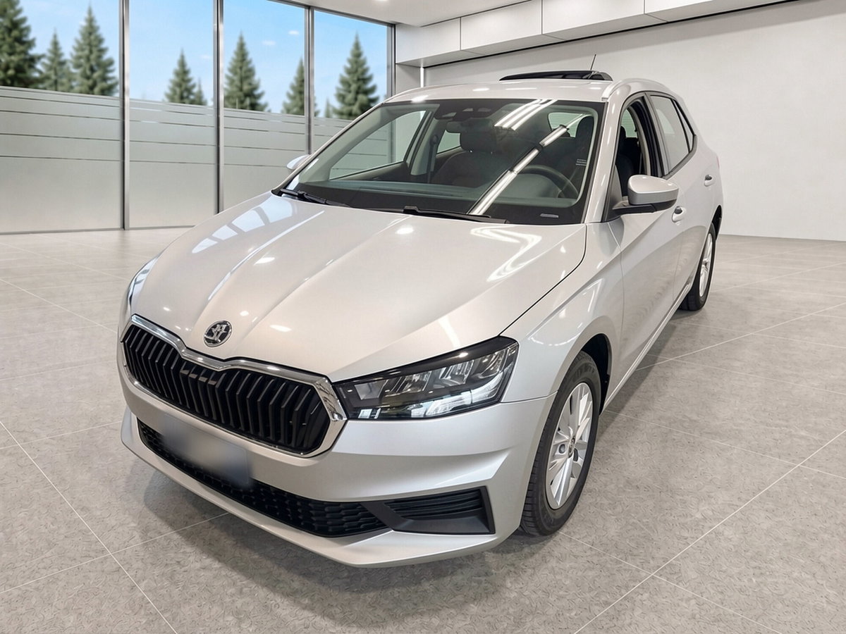 Skoda Fabia 1.0 TSI EVO 95 CV Ambition (2)