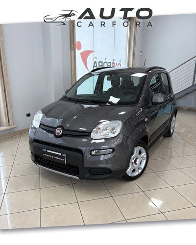 Fiat Panda 1.0 FireFly S&S Hybrid City Life usata