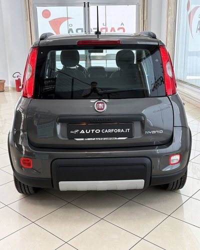 Fiat Panda 1.0 FireFly S&S Hybrid City Life (4)