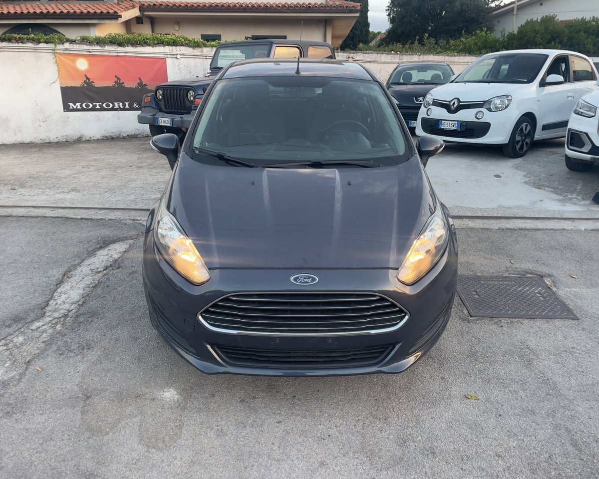Ford Fiesta 1.6 TDCi 95CV 5 porte Individual (14)