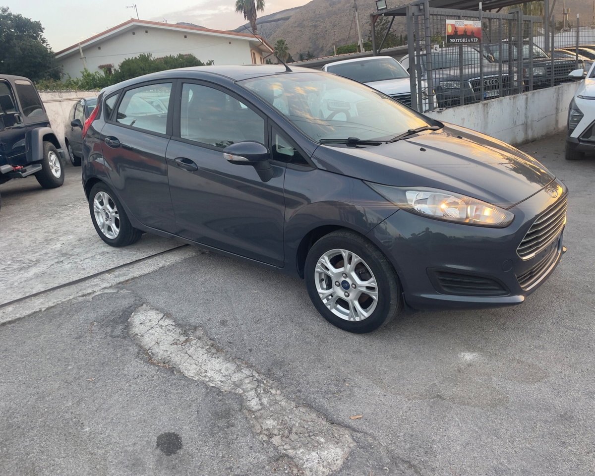 Ford Fiesta 1.6 TDCi 95CV 5 porte Individual (4)