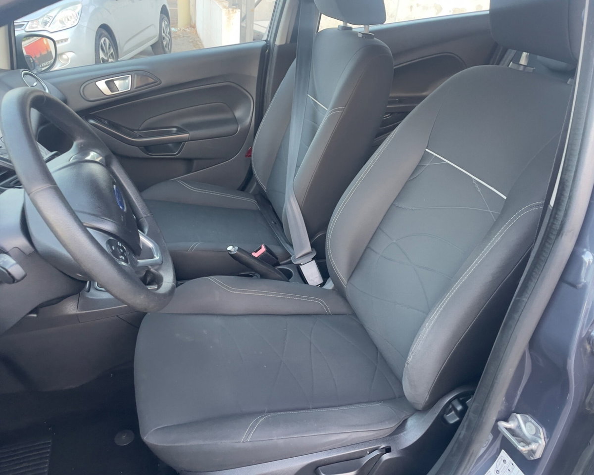 Ford Fiesta 1.6 TDCi 95CV 5 porte Individual (6)
