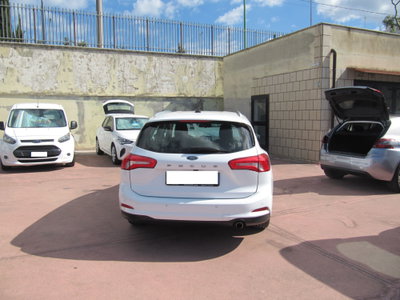 Ford Focus Station Wagon 1.5 EcoBlue 95 CV SW Business (4)