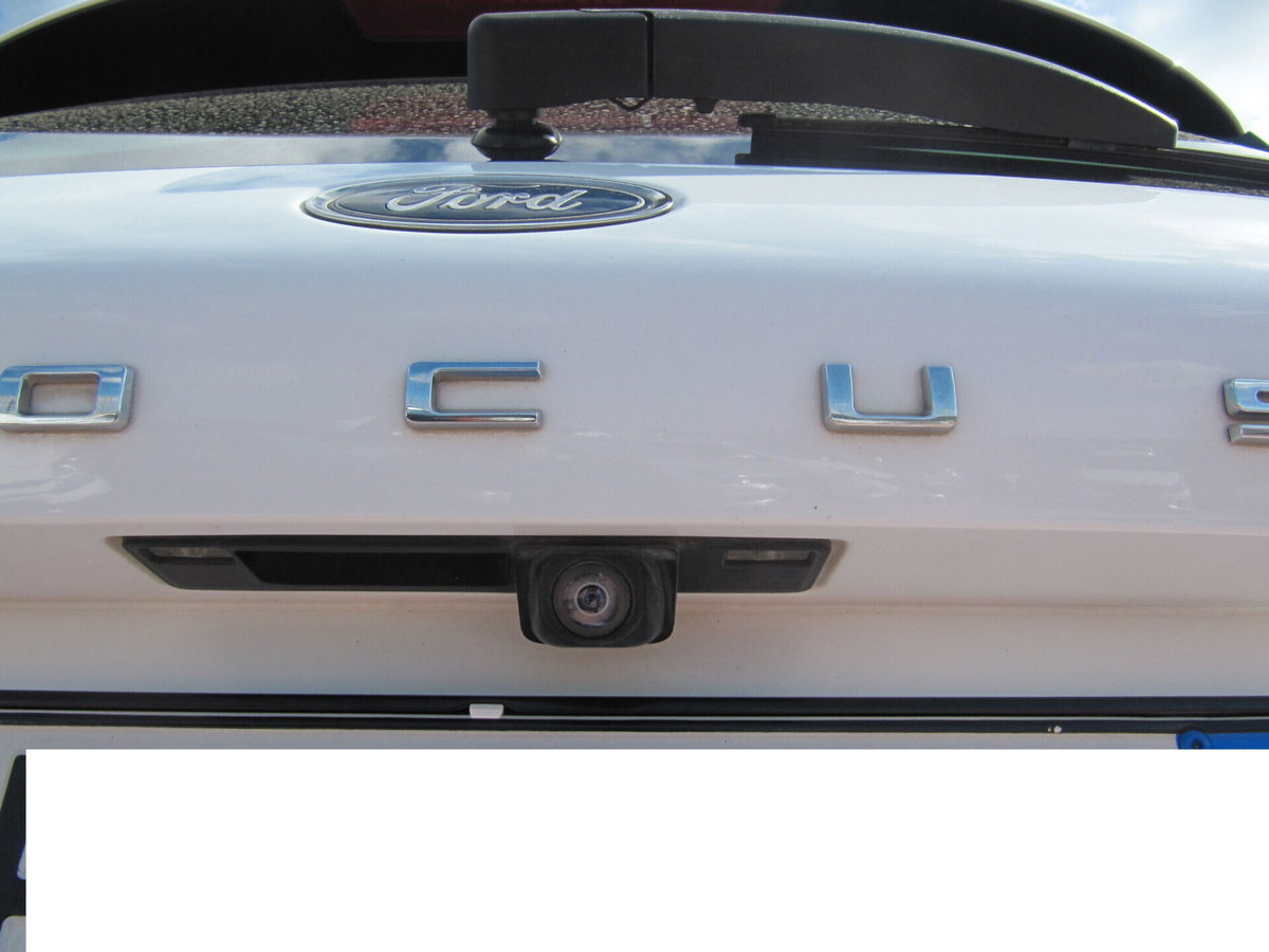 Ford Focus Station Wagon 1.5 EcoBlue 95 CV SW Business (6)