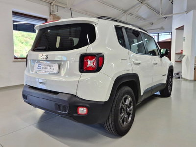 Jeep Renegade 1.6 Mjt 130 CV Longitude (13)