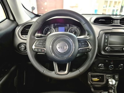 Jeep Renegade 1.6 Mjt 130 CV Longitude (4)