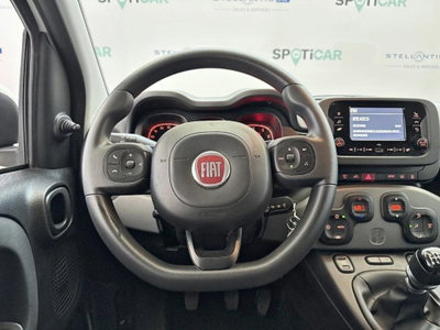 Fiat Panda Cross Cross 1.0 FireFly S&S Hybrid (12)