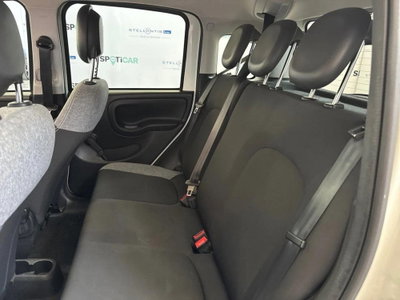 Fiat Panda Cross Cross 1.0 FireFly S&S Hybrid (13)