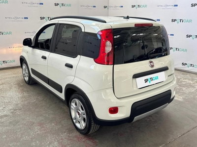Fiat Panda Cross Cross 1.0 FireFly S&S Hybrid (6)