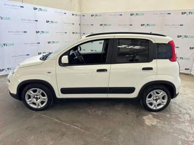Fiat Panda Cross Cross 1.0 FireFly S&S Hybrid (7)