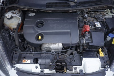 Ford Fiesta Ikon 1.4 TDCi 70CV 5 porte (19)
