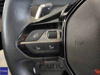 Peugeot 2008 BlueHDi 130 S&S EAT8 Allure Pack (17)