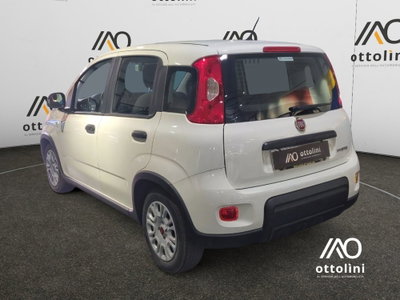 Fiat Panda Cross Cross 1.0 FireFly S&S Hybrid (4)