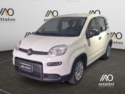 Fiat Panda Cross Cross 1.0 FireFly S&S Hybrid usata