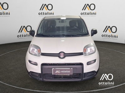 Fiat Panda Cross Cross 1.0 FireFly S&S Hybrid (2)