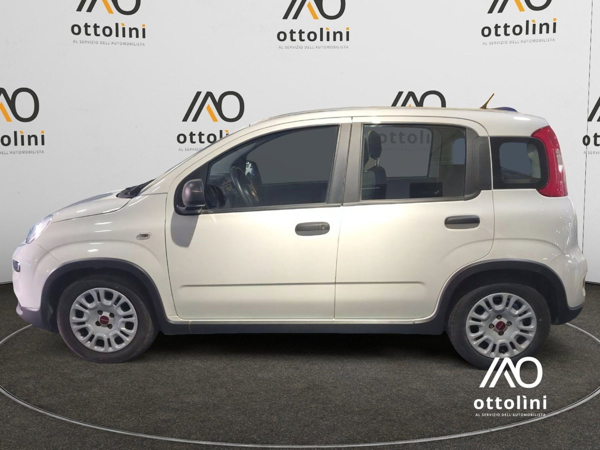 Fiat Panda Cross Cross 1.0 FireFly S&S Hybrid (3)