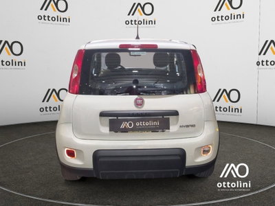 Fiat Panda Cross Cross 1.0 FireFly S&S Hybrid (5)