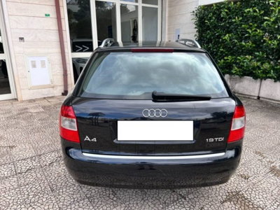 Audi A4 Avant 1.9 TDI/130 CV cat (8)