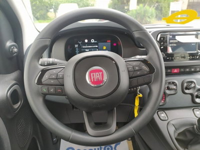 Fiat Panda Cross Cross 1.0 FireFly S&S Hybrid (18)