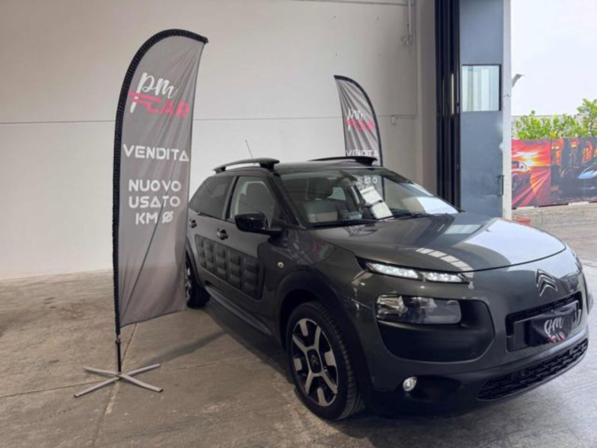 Citroen C4 Cactus BlueHDi 100 S&S ETG6 Shine (4)