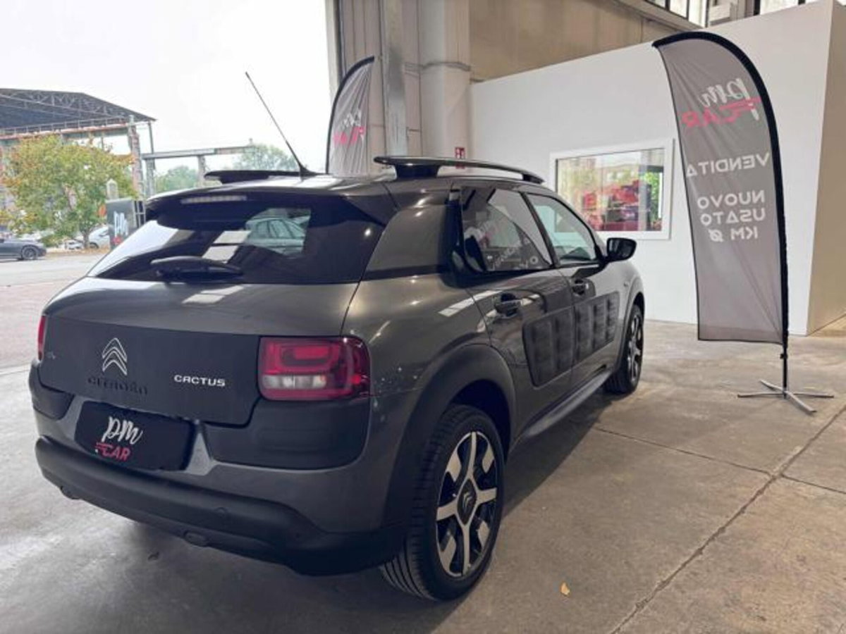 Citroen C4 Cactus BlueHDi 100 S&S ETG6 Shine (5)