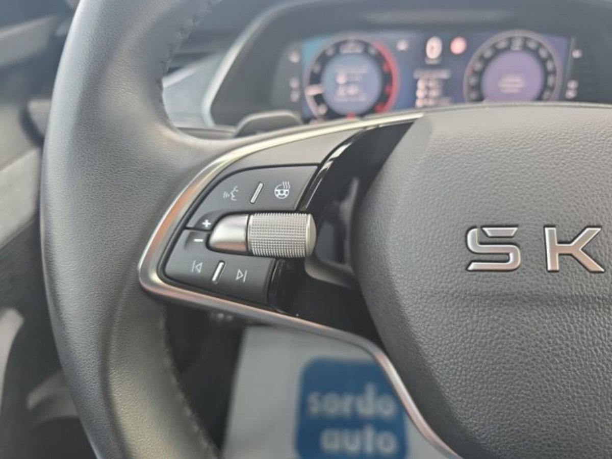 Skoda Octavia Station Wagon 2.0 TDI EVO SCR 150 CV DSG 4x4 Wagon Executive (16)
