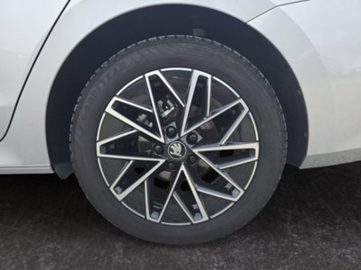 Skoda Octavia Station Wagon 2.0 TDI EVO SCR 150 CV DSG 4x4 Wagon Executive (7)
