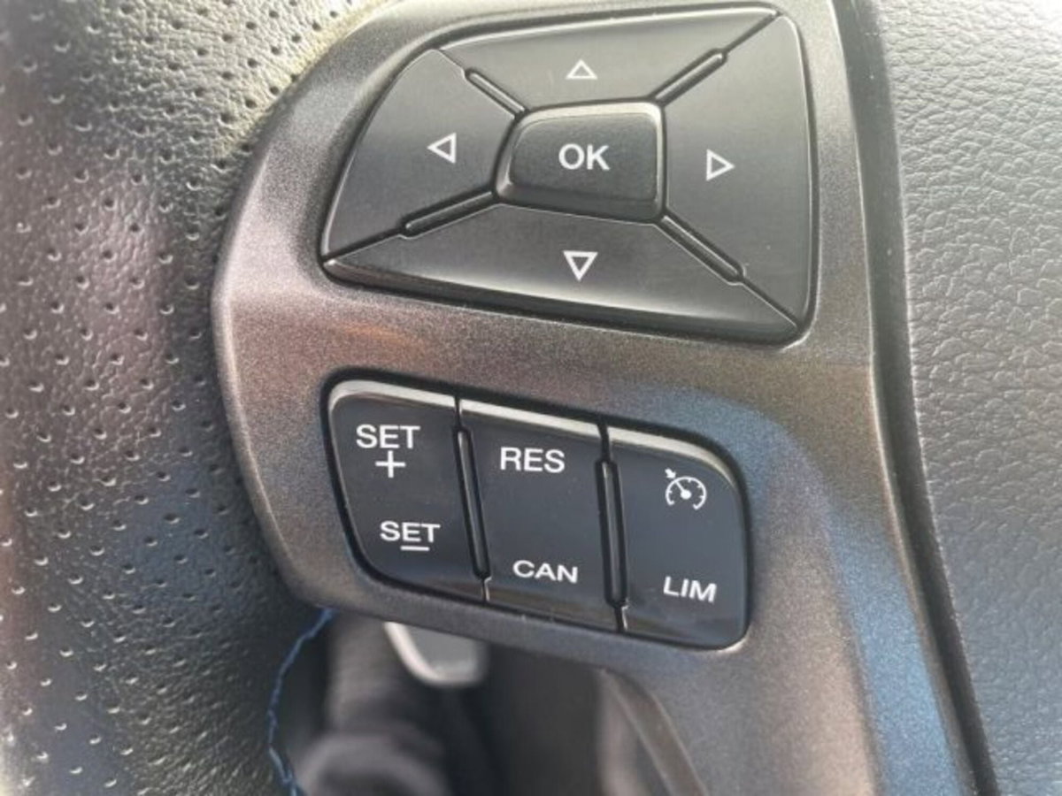 Ford Ranger Pick-up Ranger Raptor 2.0 ECOBLUE aut. 213 CV DC 5 pt. (14)