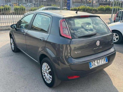 Fiat Punto Evo 1.4 5 porte Active Natural Power (5)