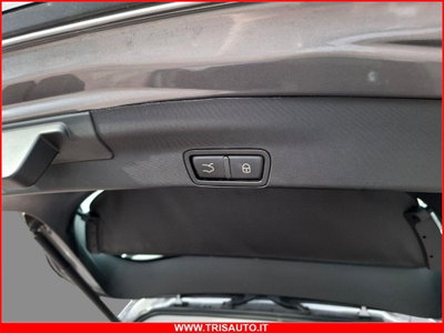 Alfa Romeo Stelvio Stelvio 2.2 Turbodiesel 190 CV AT8 Q4 Business (19)