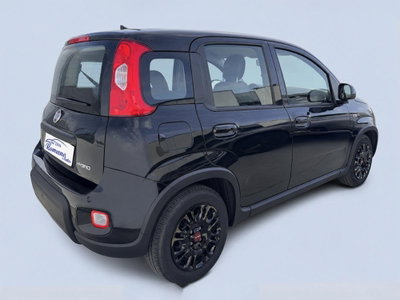 Fiat Panda 1.0 firefly hybrid Pop s&s 70cv (4)