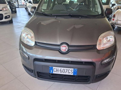 Fiat Panda 1.0 firefly hybrid Pop s&s 70cv usata